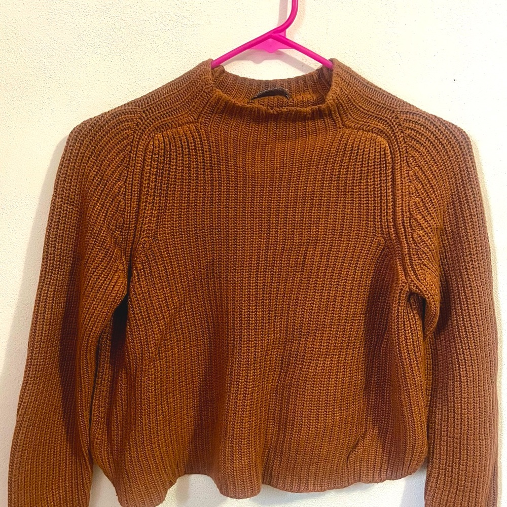 American Apparel sweater, size: small, color: brown